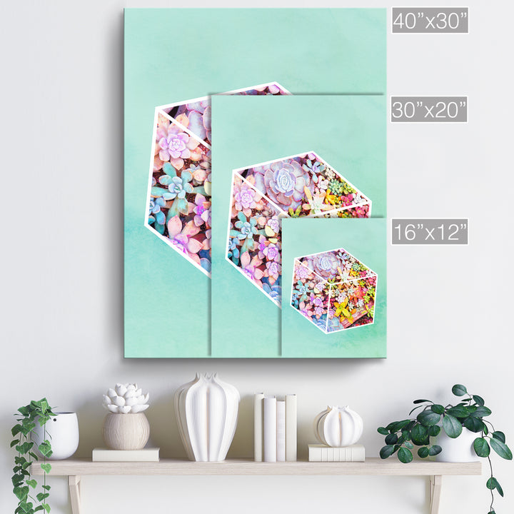 'Garden Cube'  Succulent Wall Art