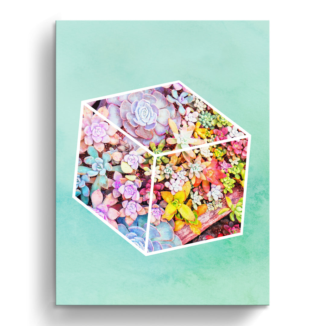'Garden Cube'  Succulent Wall Art