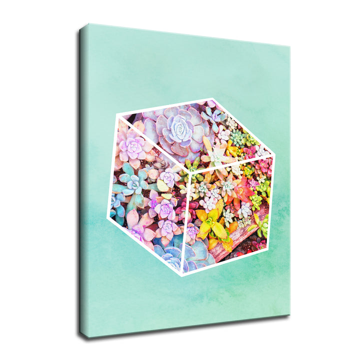 'Garden Cube'  Succulent Wall Art