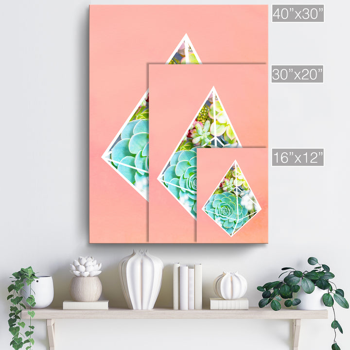 'Green Diamond'  Succulent Wall Art