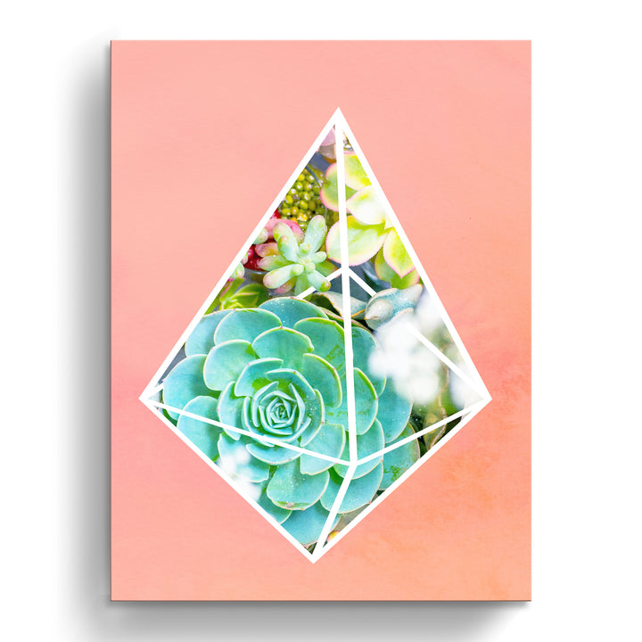 'Green Diamond'  Succulent Wall Art