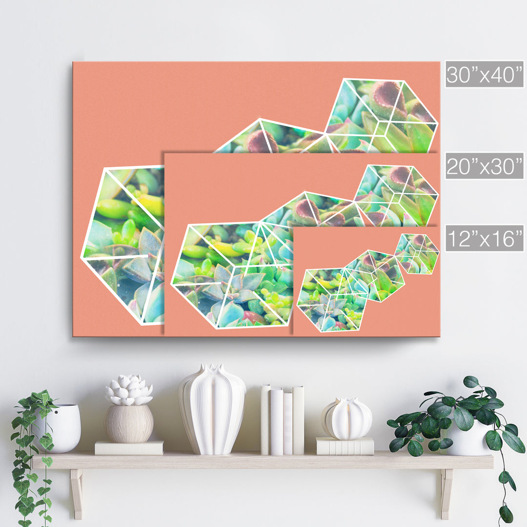 'Green Ice Dice'  Succulent Wall Art