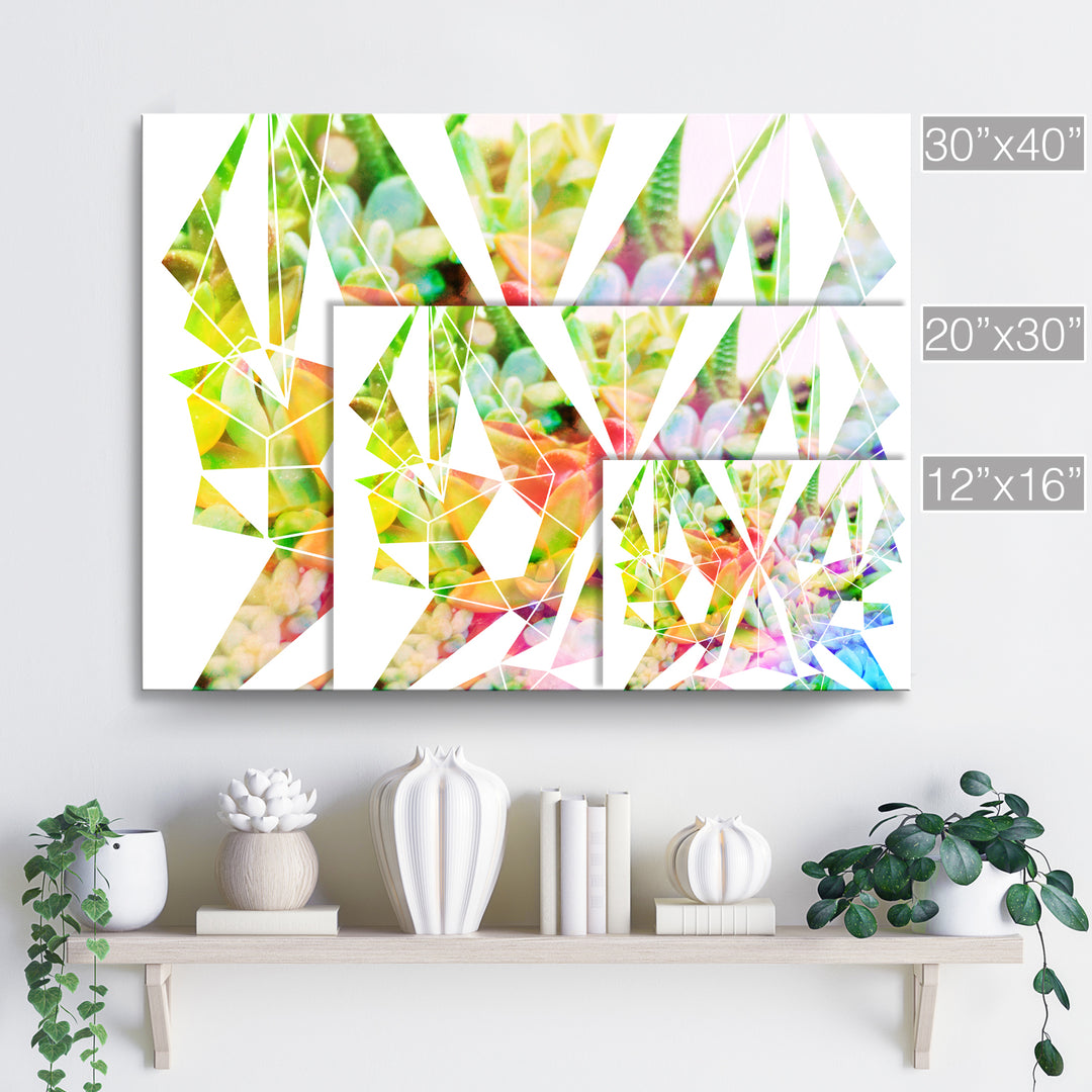'Spectrum Prism'  Succulent Wall Art