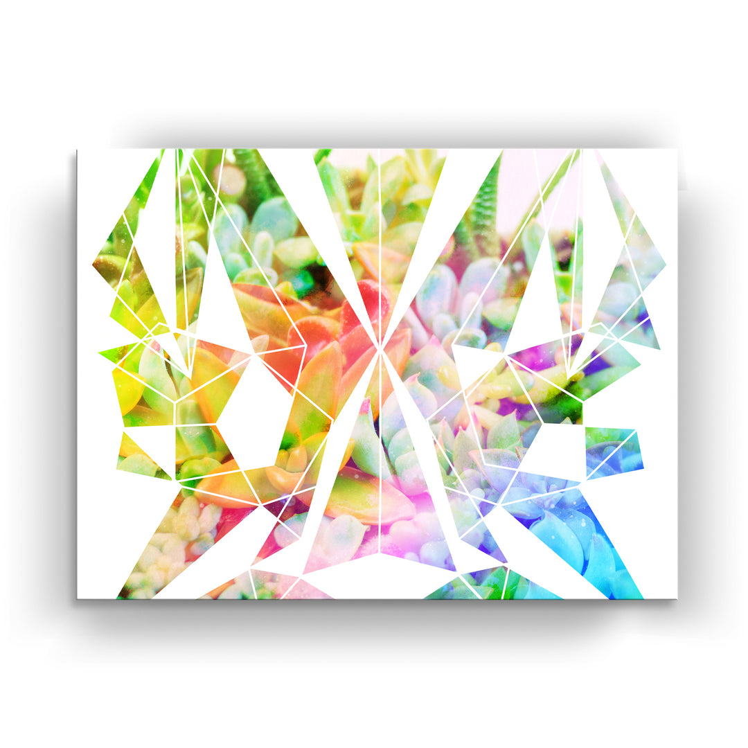 'Spectrum Prism'  Succulent Wall Art