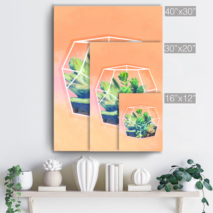 'Terrarium Orange'  Succulent Wall Art