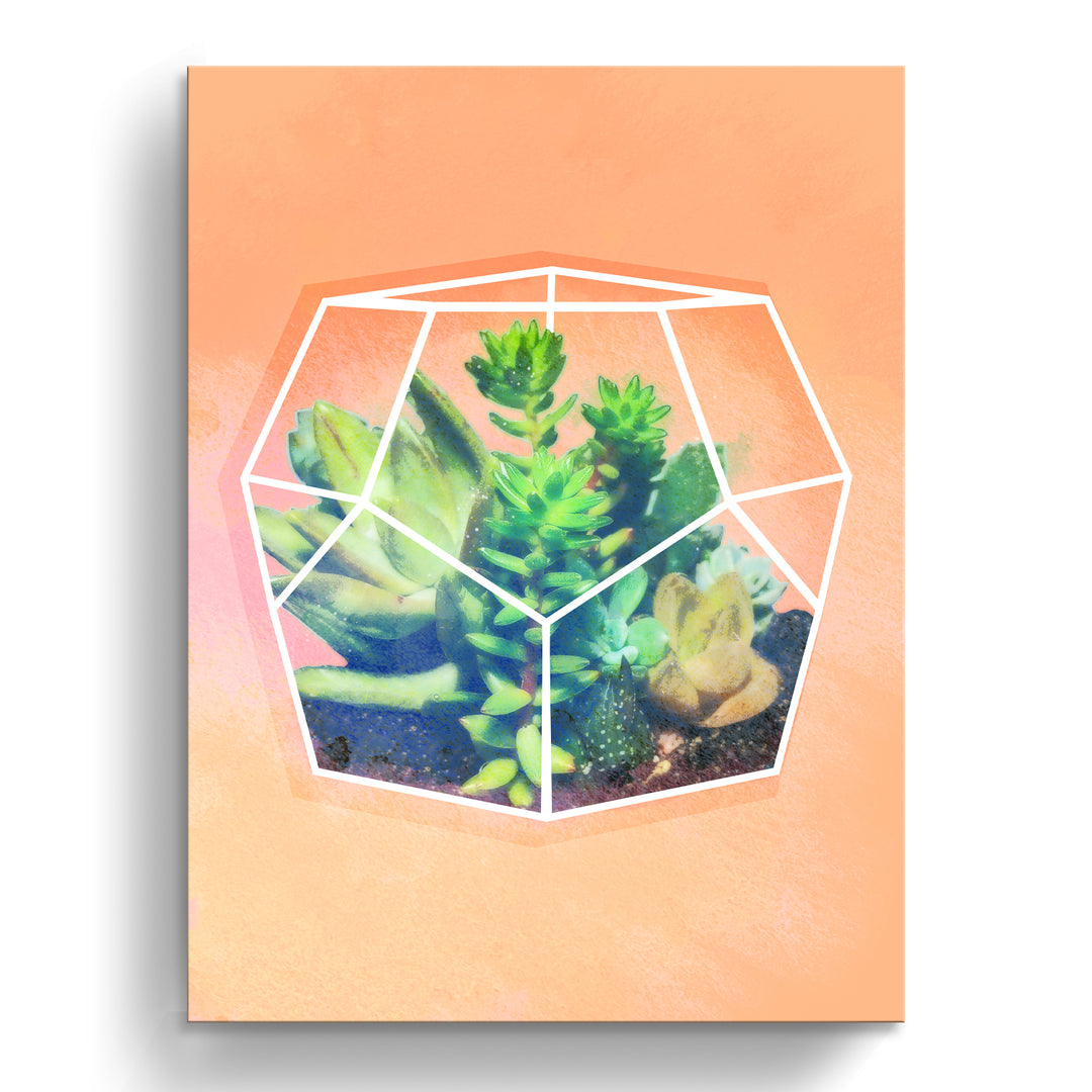 'Terrarium Orange'  Succulent Wall Art