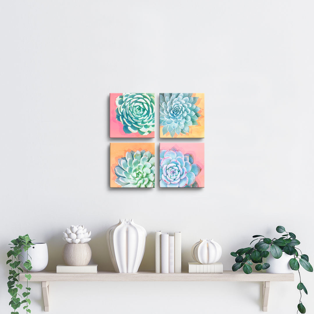 Awakened'  Succulent  Wall Art