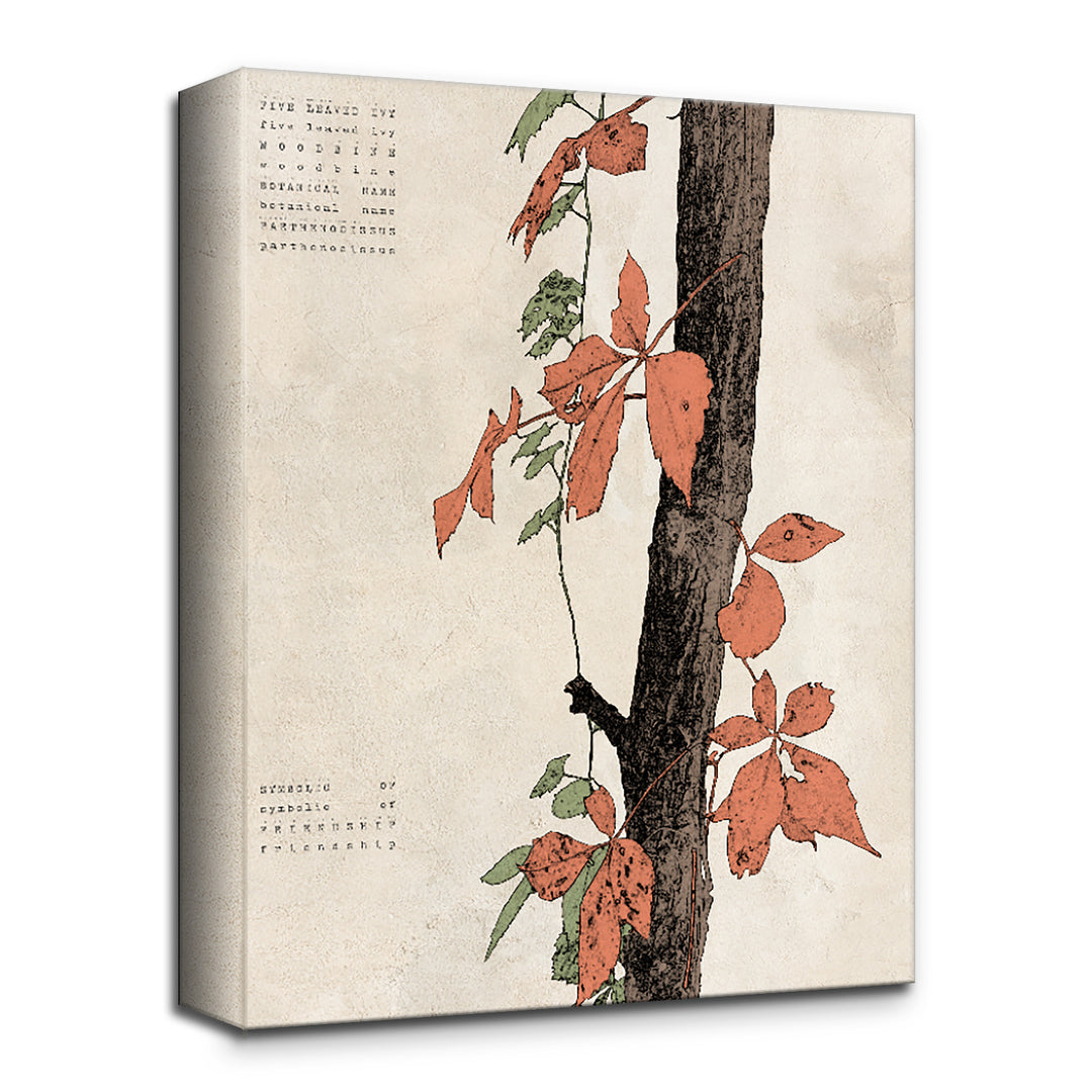 'Poetica XI' Wrapped Canvas Wall Art