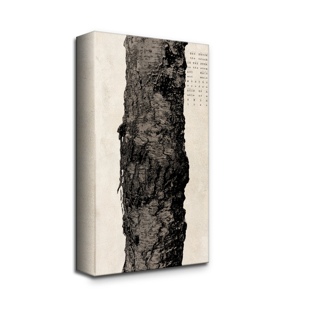 Poetica XV' Wall Art