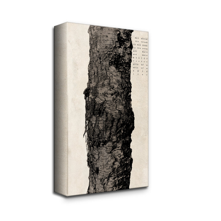 Poetica XV' Wall Art