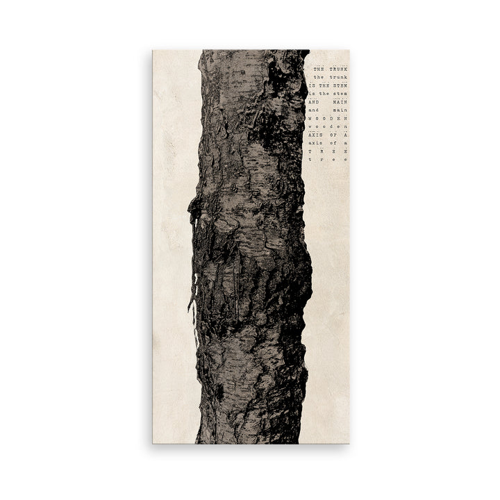 Poetica XV' Wall Art