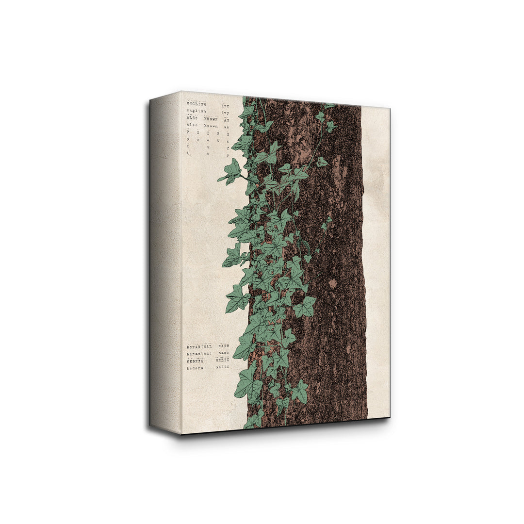 Poetica XVI' Wall Art