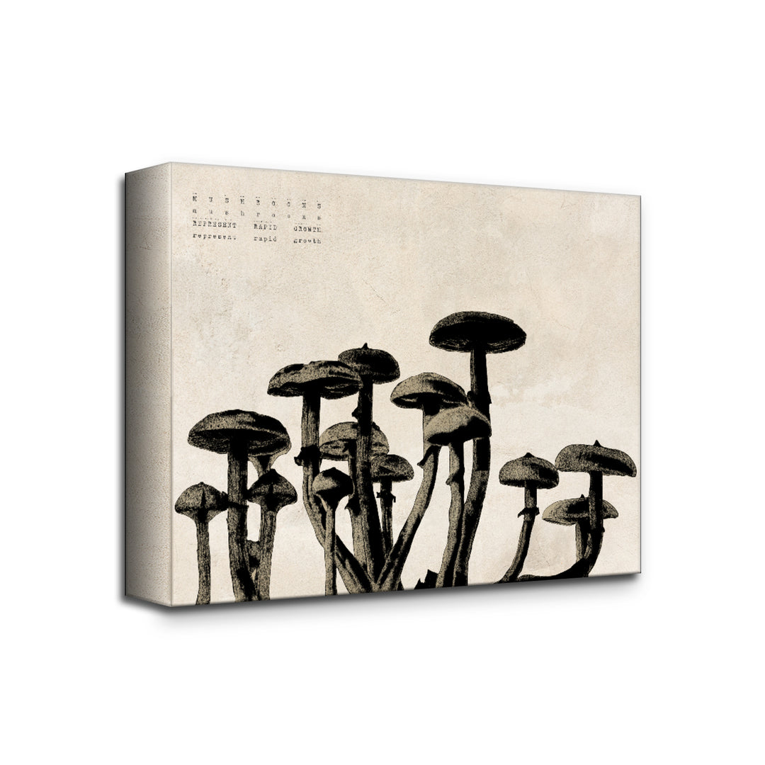 'Poetica XVII' Wrapped Canvas Wall Art