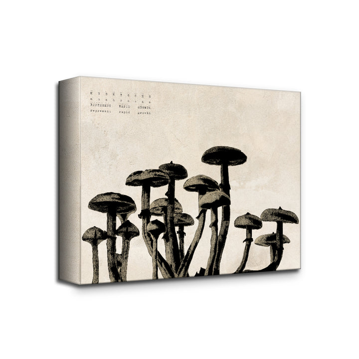 'Poetica XVII' Wrapped Canvas Wall Art