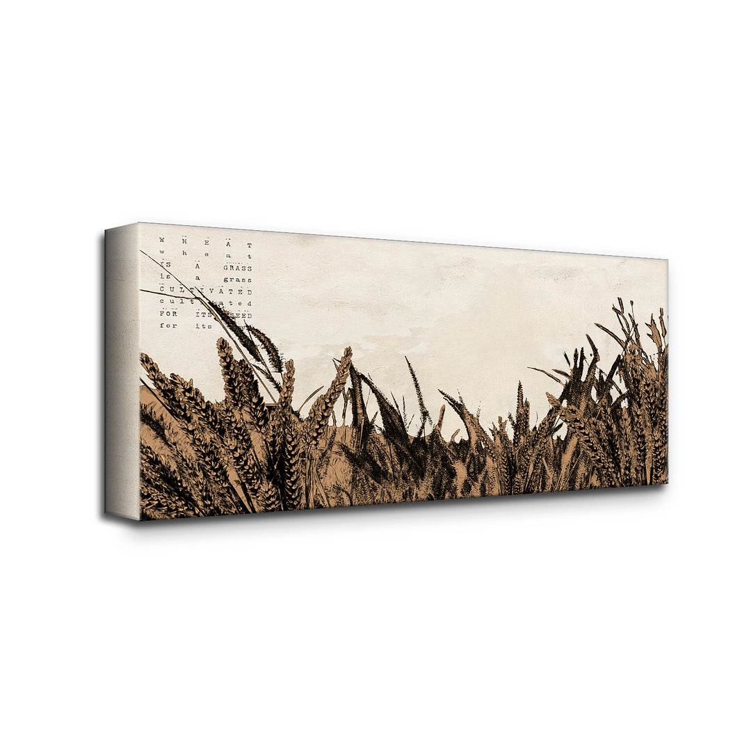 'Poetica XXI' Wrapped Canvas Wall Art