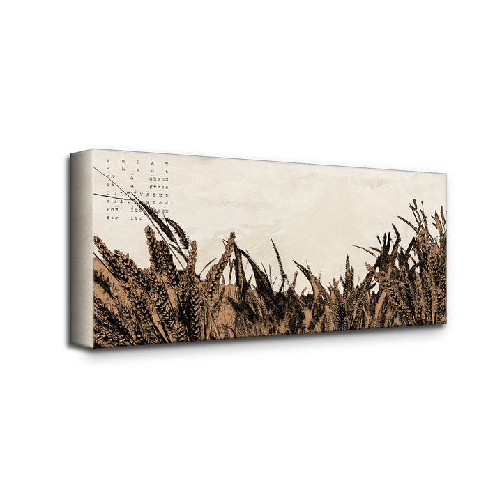 'Poetica XXI' Wrapped Canvas Wall Art