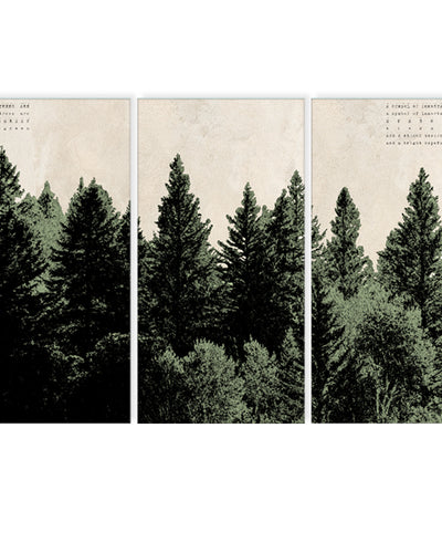 'Poetica No. 23' 3 Piece Wrapped Canvas Wall Art Set