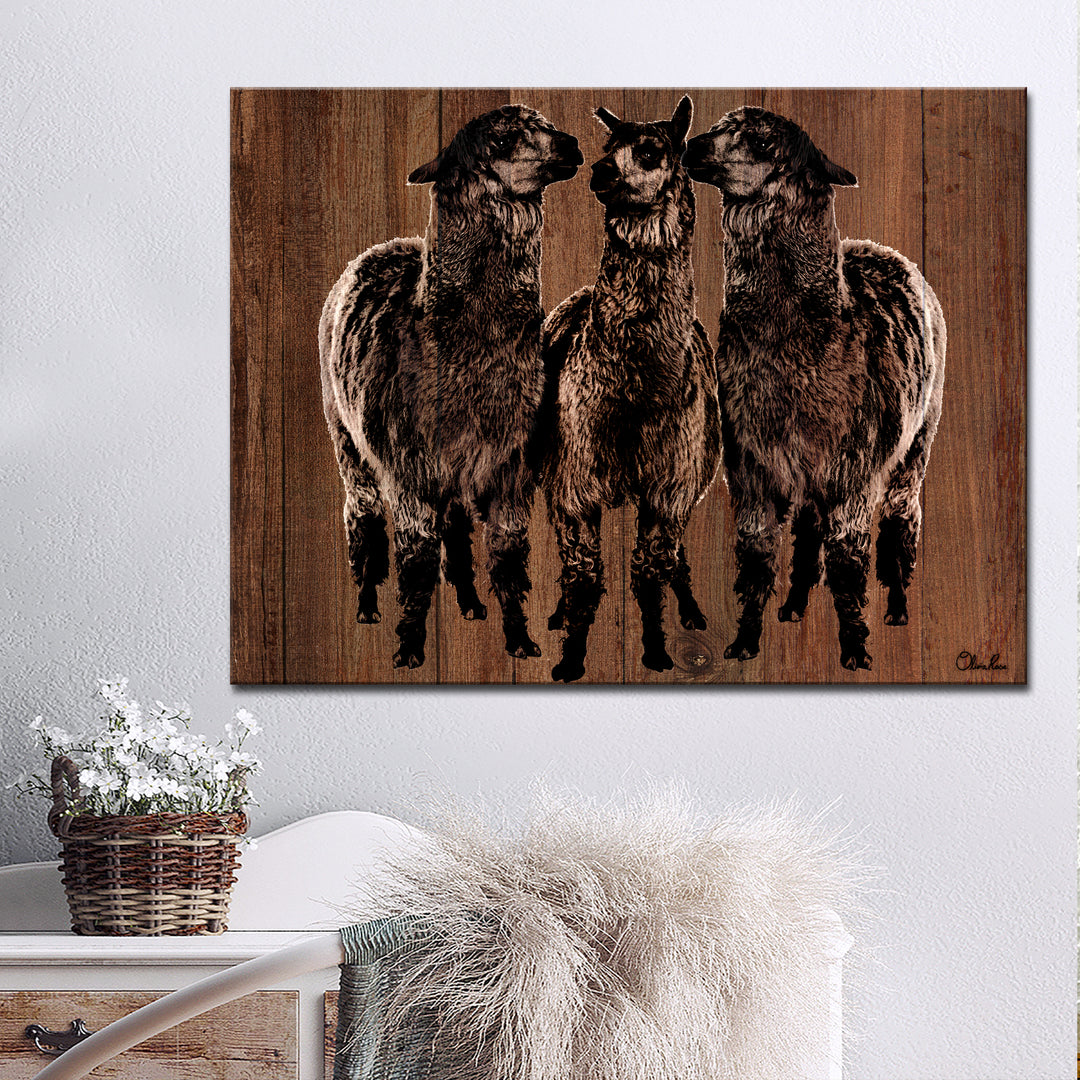 'Alpaca Trio' Wrapped Canvas Wall Art