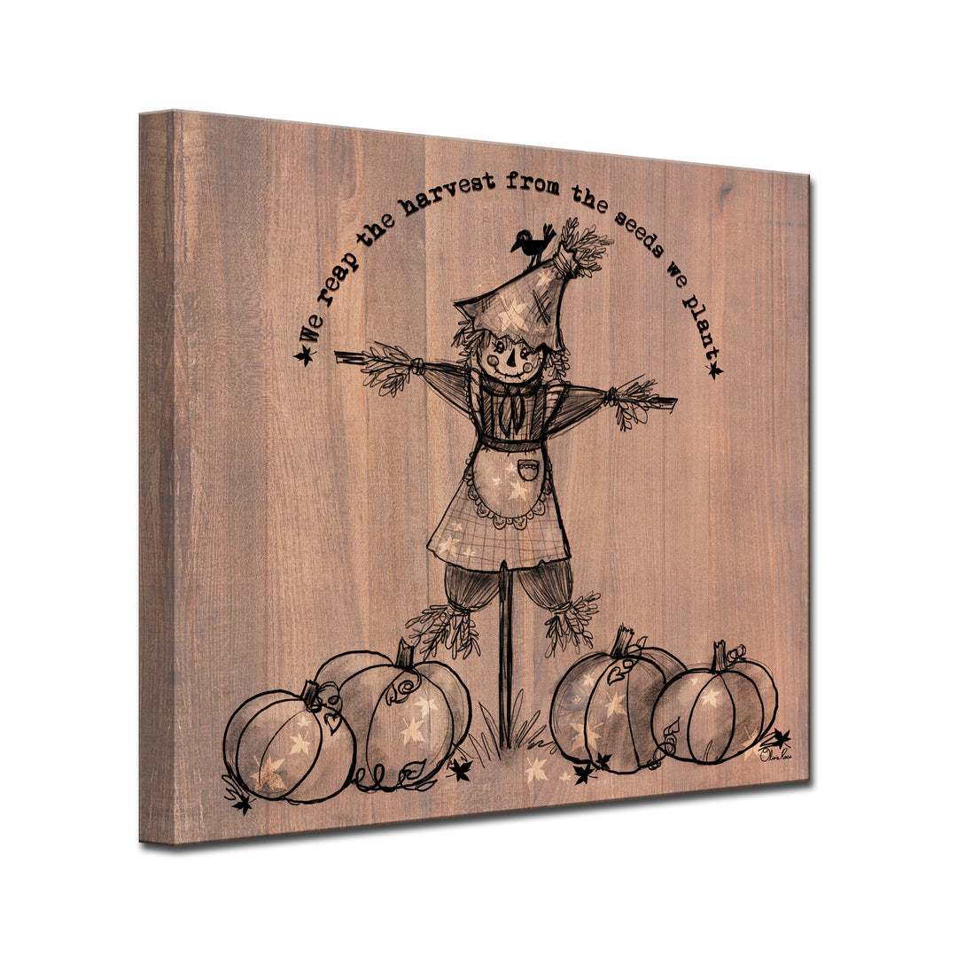 Reap the Harvest'  Shabby Chic Fall Textual Wall Art