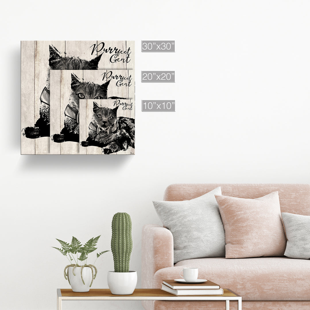 Purrfect Gent'  Pet Wall Art