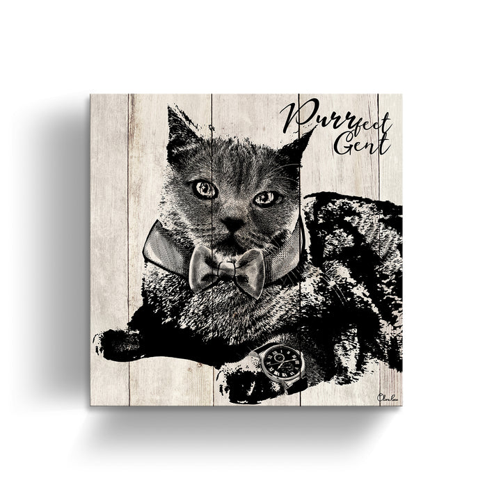 Purrfect Gent'  Pet Wall Art