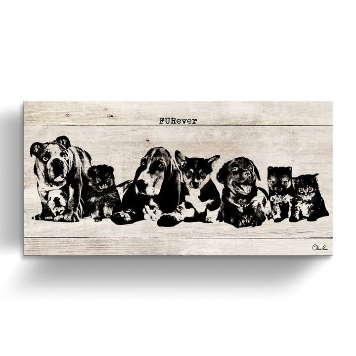 'FURever' Wrapped Canvas Animal Wall Art