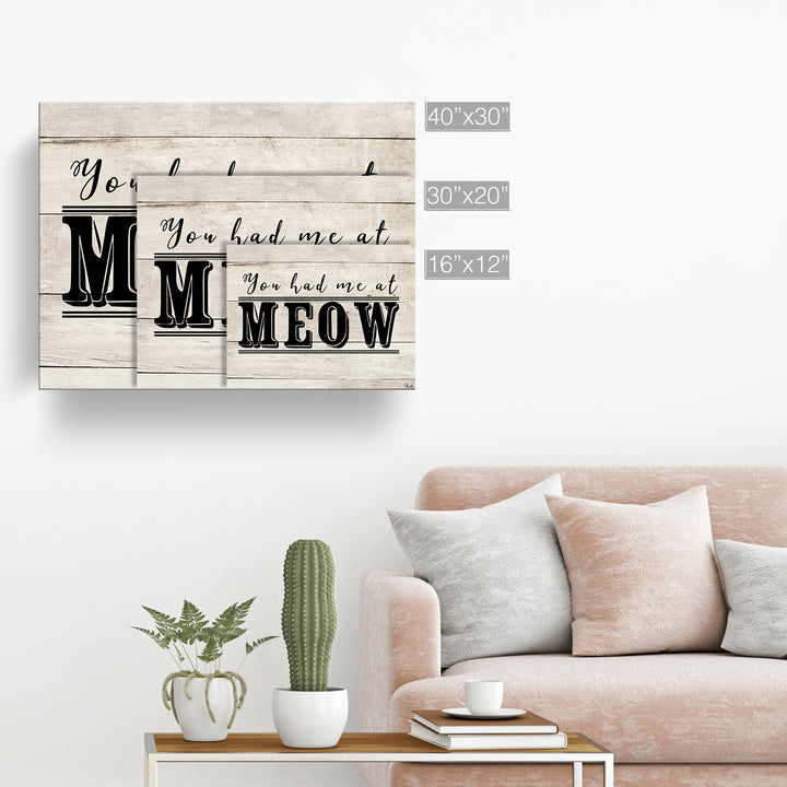 'MEOW' Wrapped Canvas Cat Wall Art