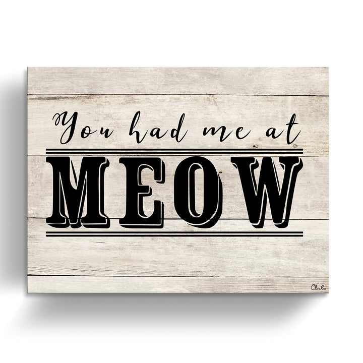 'MEOW' Wrapped Canvas Cat Wall Art