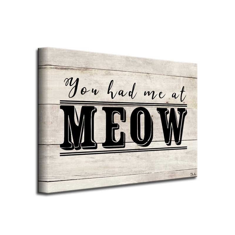 'MEOW' Wrapped Canvas Cat Wall Art