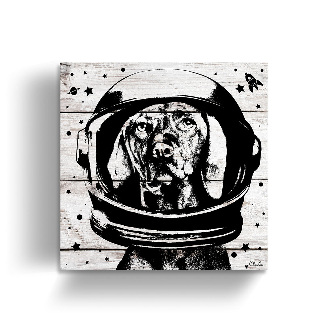 Space Dog'  Pet Wall Art
