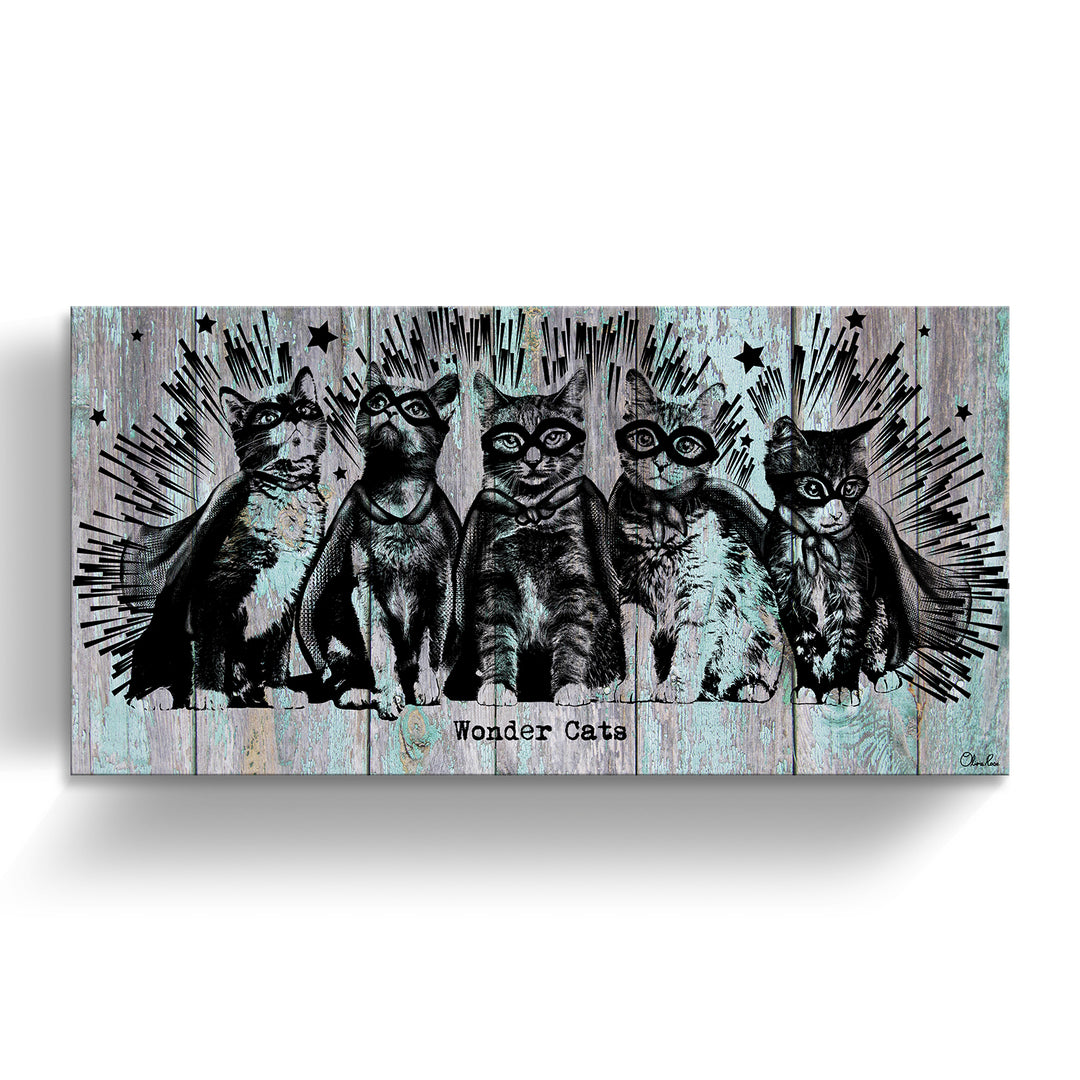 'Wonder Cats' Wrapped Canvas Animal Wall Art