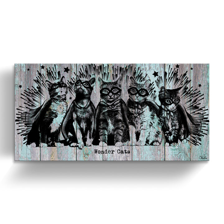 'Wonder Cats' Wrapped Canvas Animal Wall Art