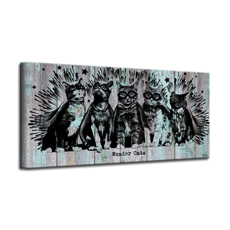 'Wonder Cats' Wrapped Canvas Animal Wall Art