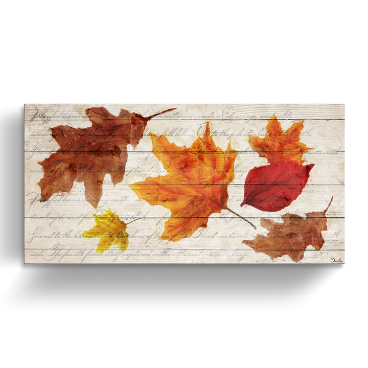 'Fall Leaves' Wrapped Canvas Harvest Wall Art