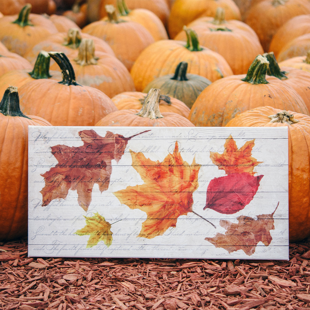 'Fall Leaves' Wrapped Canvas Harvest Wall Art