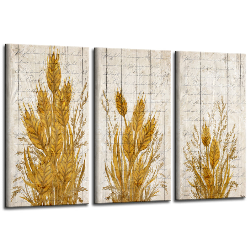 'Harvest Wheat' 3-Pc Canvas Fall Wall Art Set