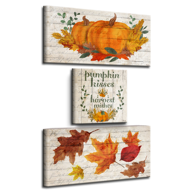 'Pumpkin Kisses & Harvest Wishes' 3-Pc Fall Canvas Wall Art Set