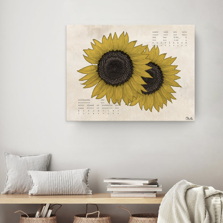 'Poetic Flora XIII' Wrapped Canvas Floral Wall Art