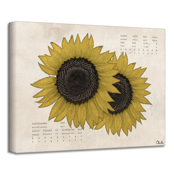 'Poetic Flora XIII' Wrapped Canvas Floral Wall Art