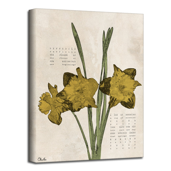 Poetic Flora XIV'  Floral Wall Art