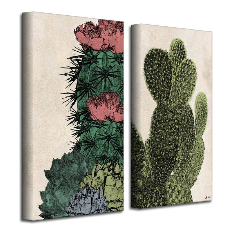 'Poetic Flora Set IV' 2-Pc Canvas Succulent Wall Art Set