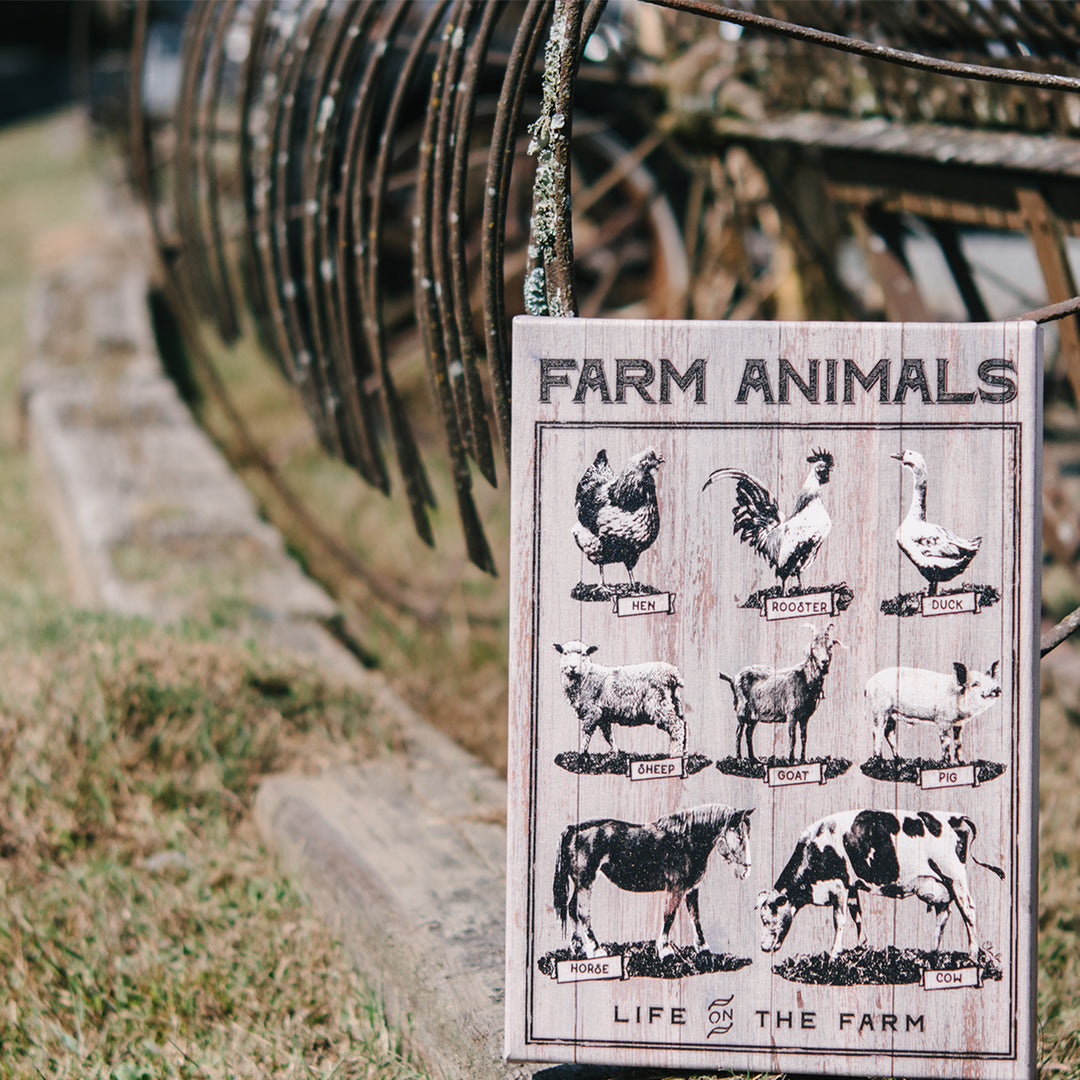 Farm Animals' Wall Art
