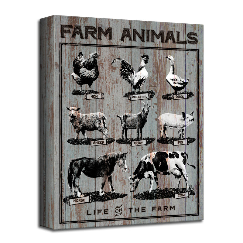 Farm Animals' Wall Art