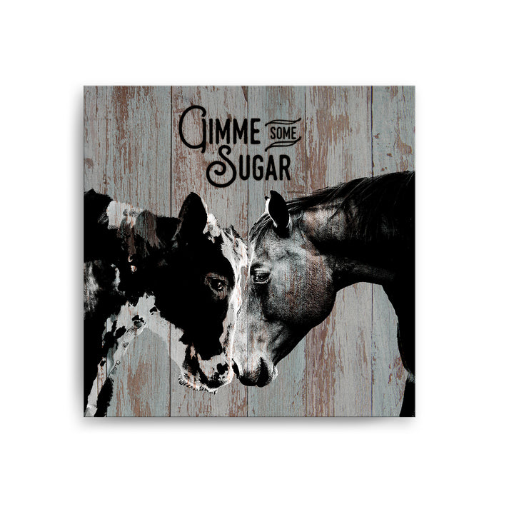 Sweet Cow & Horse'  Wall Art
