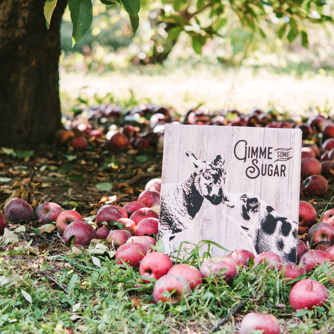 Sweet Sheep & Pig'  Wall Art