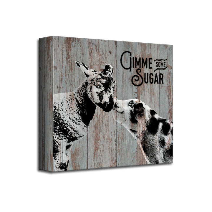 Sweet Sheep & Pig'  Wall Art