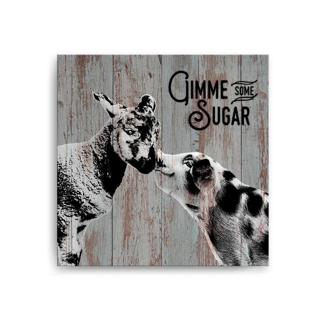 Sweet Sheep & Pig'  Wall Art