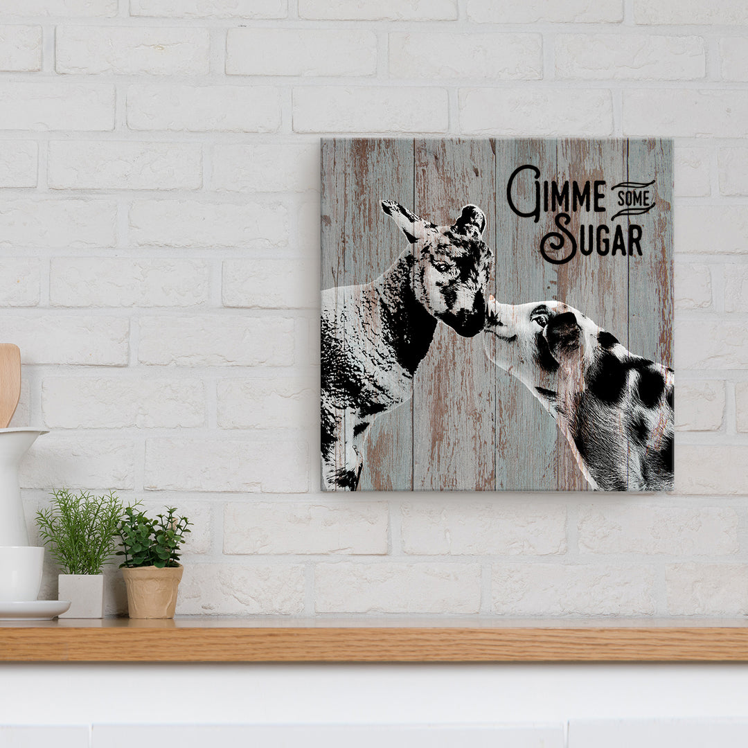 Sweet Sheep & Pig'  Wall Art