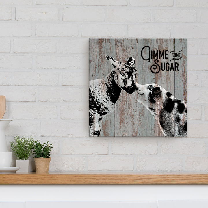 Sweet Sheep & Pig'  Wall Art