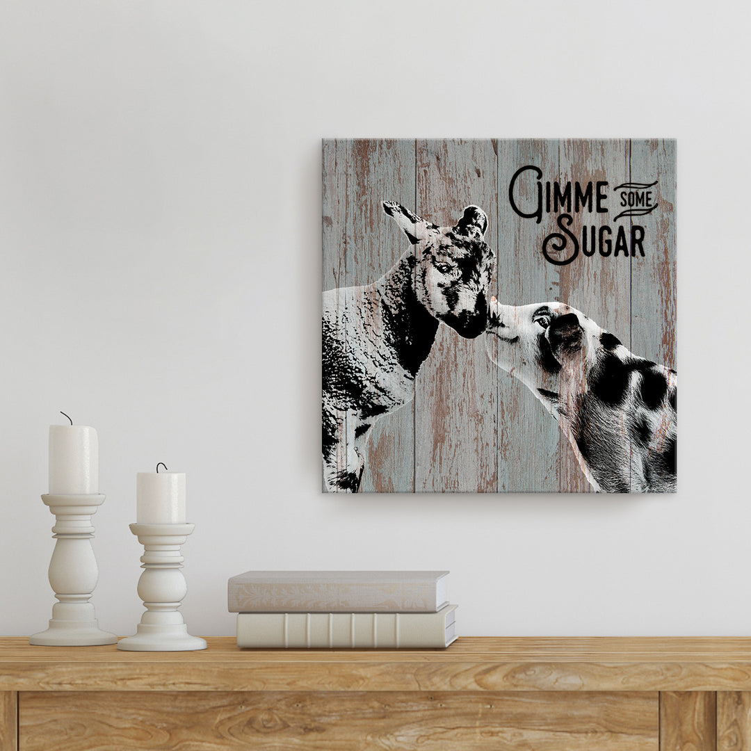 Sweet Sheep & Pig'  Wall Art